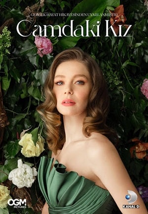 Девушка за стеклом 